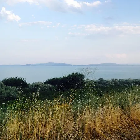 Emona Διαμέρισμα Μπουργκάς